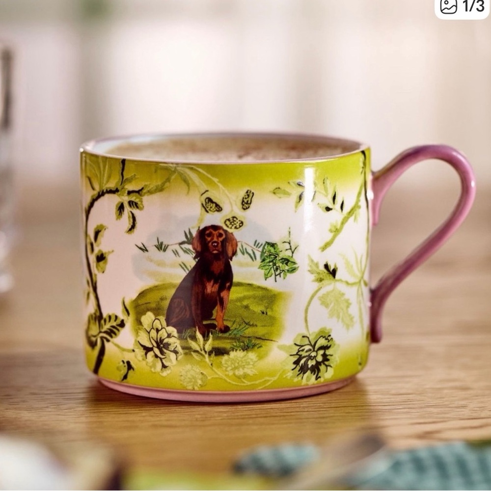 NWT PORTOBELLO STONEWARE MUG POINTER Anthro